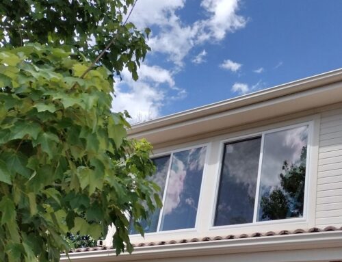 Why Choose Low E Glass For Windows?